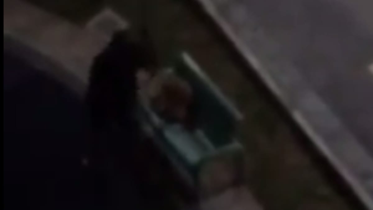 Man abusing dog caught on video; SPCA appeals for information - CNA