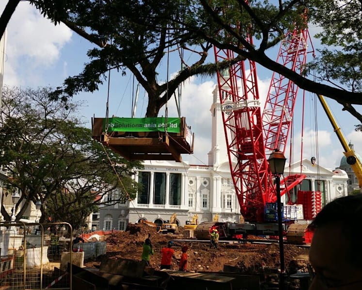 8 trees transplanted to new lawn in front of Victoria Theatre