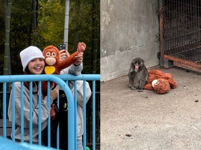 Blackpink’s Lisa meets Punch, the viral lonely monkey in Japan