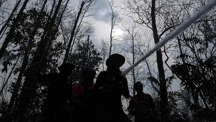 Bomba akan guna helikopter padam kebakaran tanah gambut di Kota Tinggi