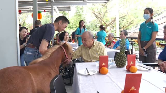 本地慈善机构安排马匹 同年长者共庆新春