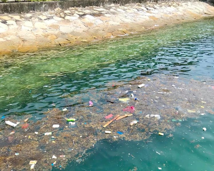 Zero waste and a green NDP are possible