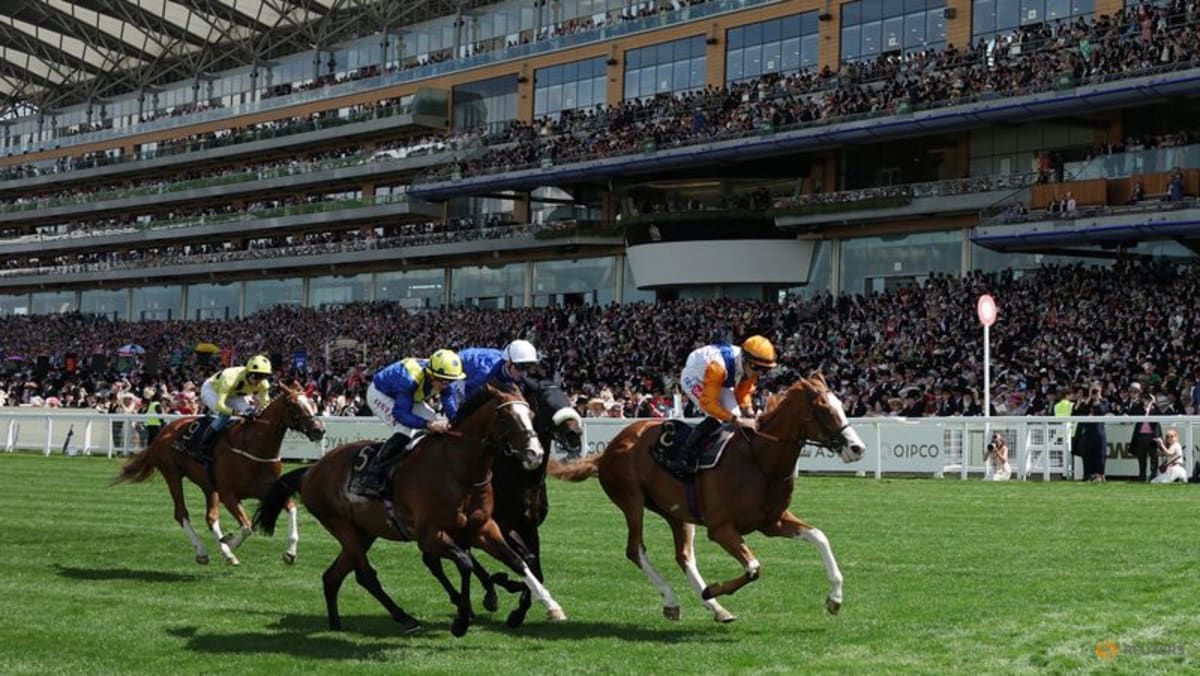 Kejutan di Royal Ascot: Kuda 50-1 Menang, Favorit Terpuruk