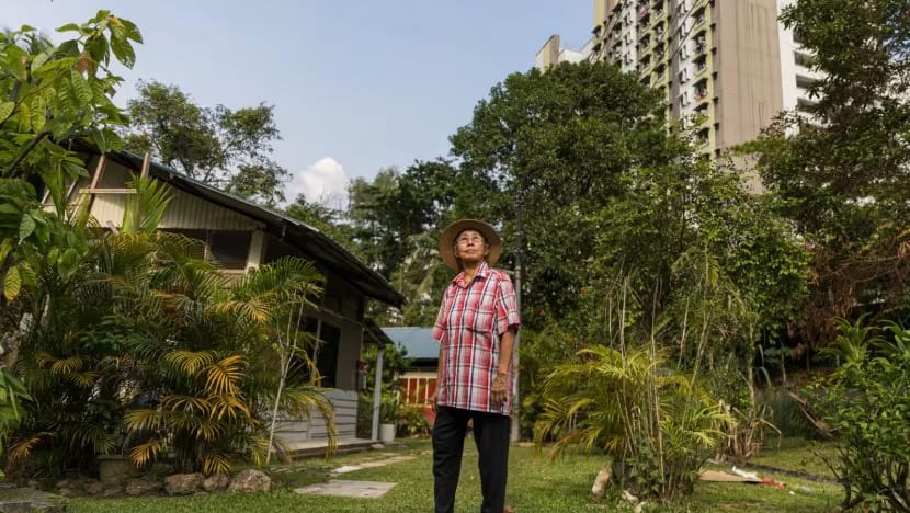 Menyambangi kampung terakhir di Singapura yang tidak akan dijual pemiliknya
