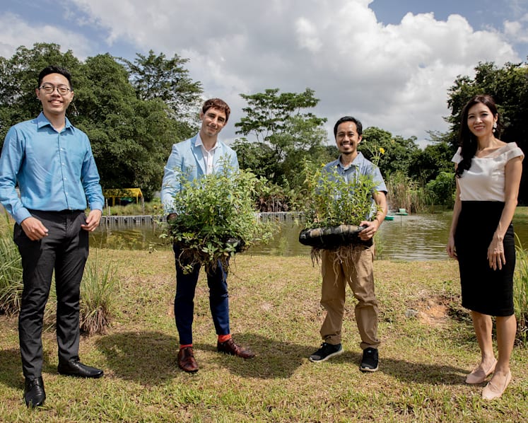 NUS alumni use plastic and glass waste to make floating garden of edible plants