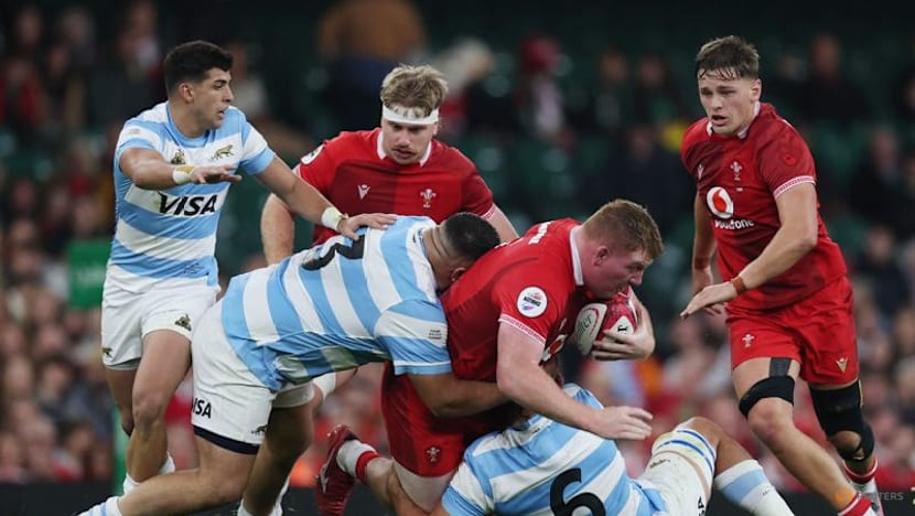 Argentina snuff out Welsh hopes of debut win for new coach