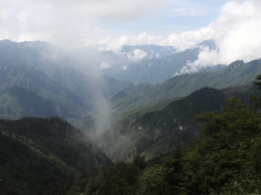 Like the fabled Sasquatch of North American folklore and the mythical yeti, or Abominable Snowman, of the Himalayas, the legend of the yeren – meaning Wild Man – is alive and well in Shennongjia.