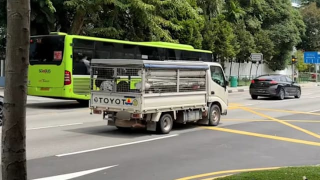 铁笼式罗厘禁止载人 客工组织：朝正确方向迈近一步