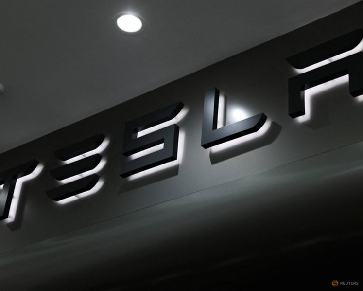 Musk welcomes German backing for Tesla driver assistance tech as group chases EU approval