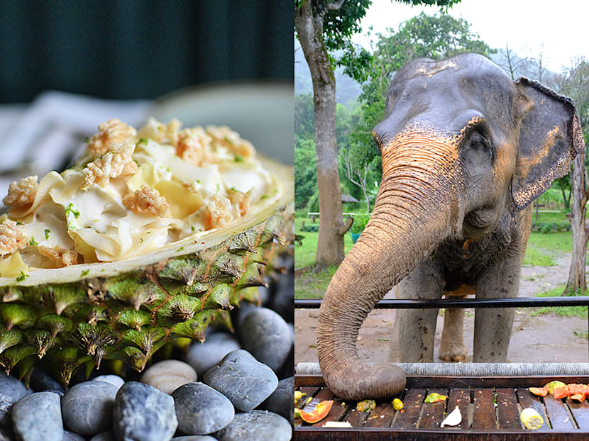 Phuket beyond the beach: Rescued elephants, creative cuisine and wellness