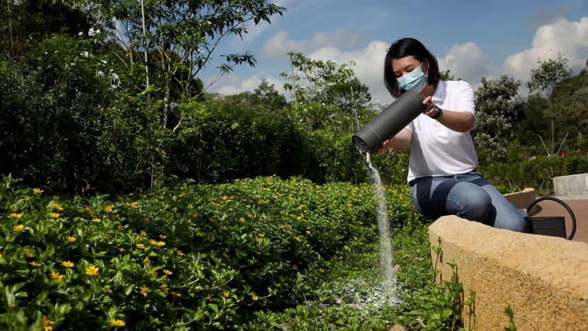 New garden at Choa Chu Kang Cemetery Complex for families to scatter ash remains of loved ones