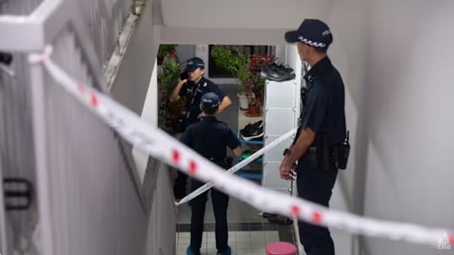 蔡厝港组屋血案 22岁男子在谋杀罪名下被捕 