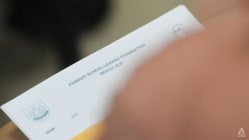 Related article image