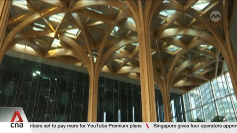 Design and engineering safety award: 3 building projects lauded, including tallest timber canopy