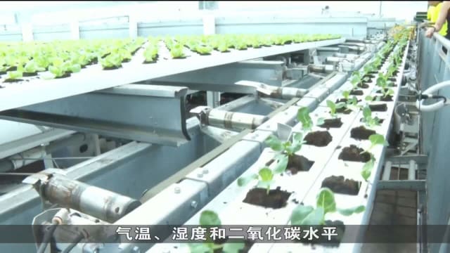 口试练习：我国为全球农业科技企业创造机遇