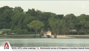 Singapore's Southern Islands are home to plants and animals not found anywhere else in the country, survey finds