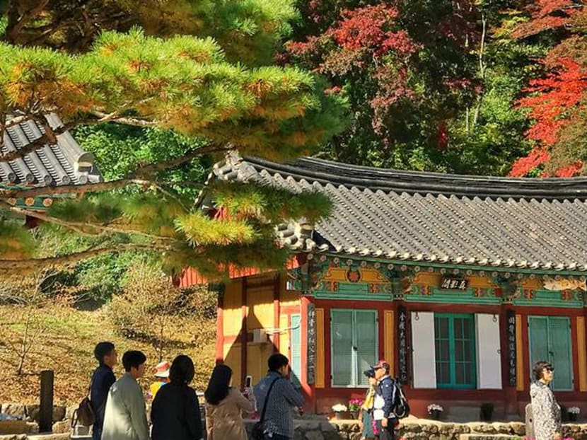 We Visited Korea's Farming Region And It's More Happening Than We Imagined