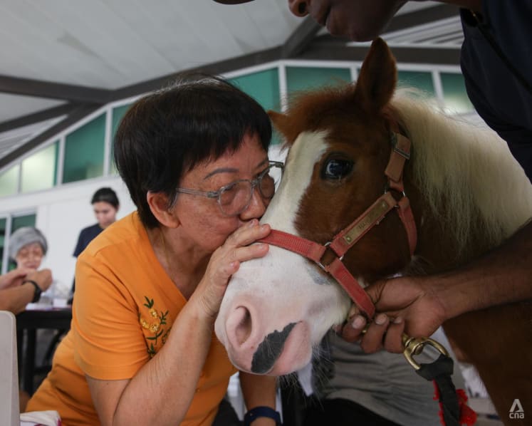 In Pictures: Never too old to have new experiences, as seniors find stable companions outside of home