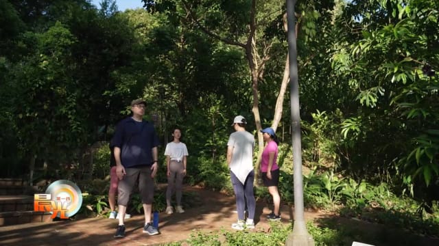 晨光|潮流解码：生活压力大？试试森林浴自然疗法