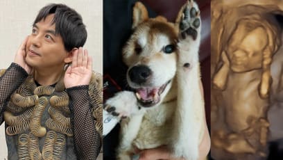 Mickey Huang Is Convinced His Late Dog Has Returned As His Unborn Daughter After Seeing This Ultrasound Scan