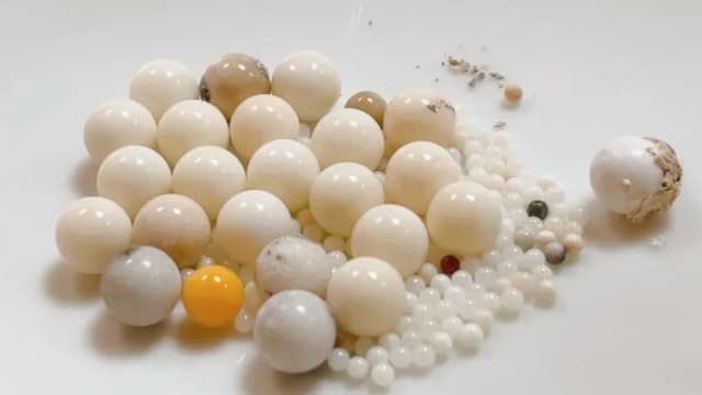 星云大师烧出无数舍利子 乳白色宛如珍珠