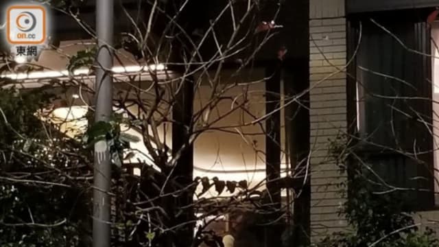 港名媛借家翁名义置产省约120万印花税 岂料招杀身之祸