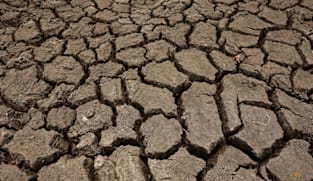 El Nino could cause 451,000 extra heat deaths: Research