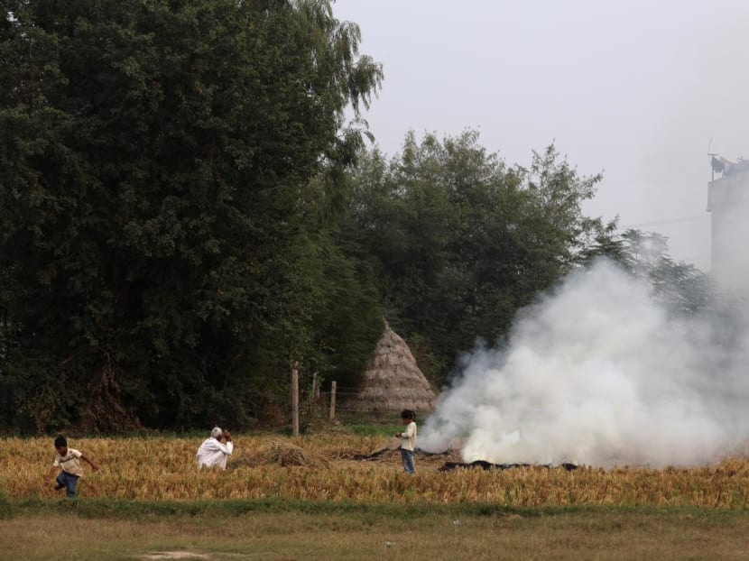 A farmer burns the stubble in a crop field in a village in Karnal district in the northern state of Haryana, India, on Nov 4, 2023.
A farmer burns the stubble in a crop field in a village in Karnal district in the northern state of Haryana, India, on Nov 4, 2023.