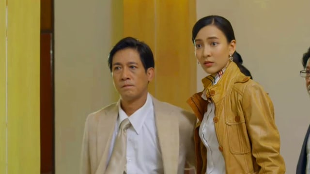 孪生公主（第10集）：林伯一家遭追杀