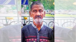 Related article image