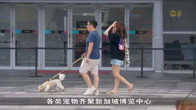 博览中心多展同办 人潮带动车资上涨三至五成