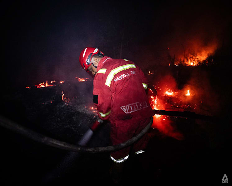 Indonesia to assess foreign firefighting aid offers, hopes to extinguish blazes within a month