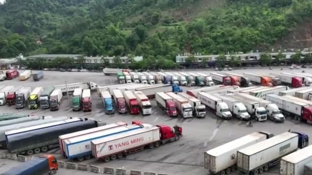 越南海关总署发出指令要求简化农产品出口清关流程 重点关注榴梿等易腐烂水果