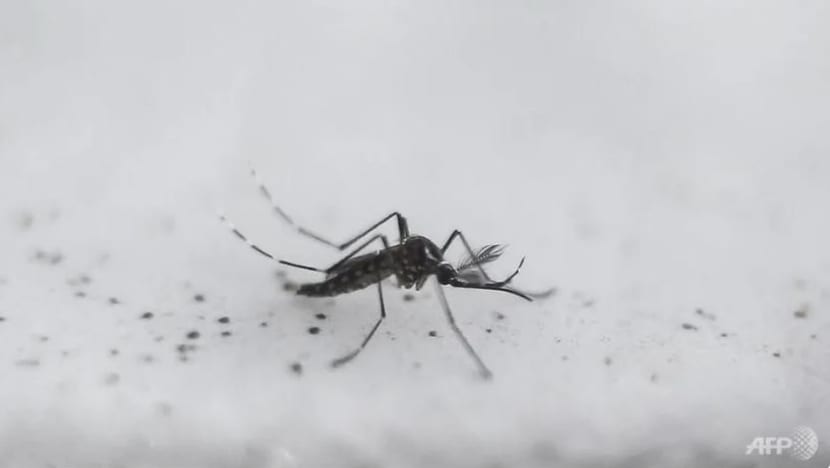 jelasBERITA: Apa itu Zika dan apakah risikonya terhadap kesihatan?