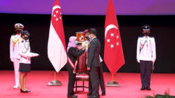 Related article image