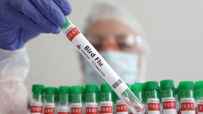 New push for mRNA bird flu vaccine development: WHO New push for mRNA bird flu vaccine development: WHO