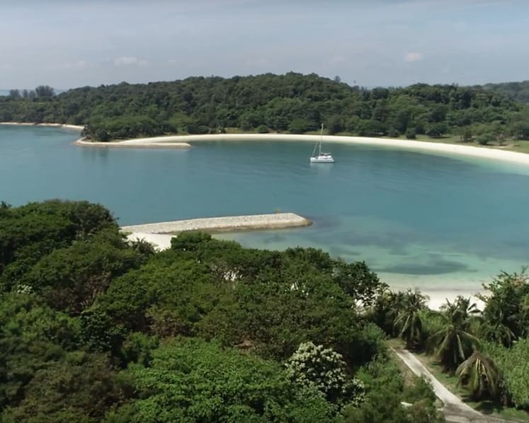Fatal Southern Islands boat collision: Tower Transit pays tribute to long-serving colleague