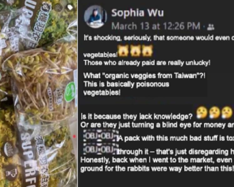 Housewife ordered to pay S$25,000 to company over defamatory Facebook post on its beansprouts, kale
