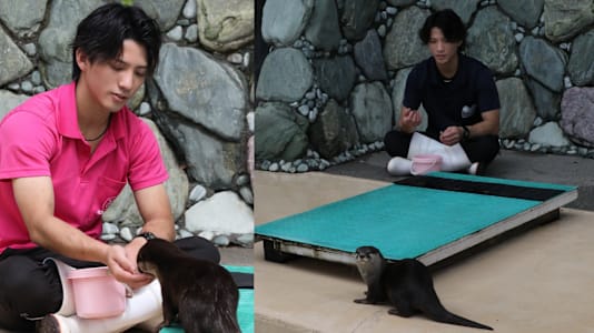 Japanese Aquarium Animal Keeper Goes Viral For His Looks; Visitors Can Now Track Him In Real-Time While He's At Work