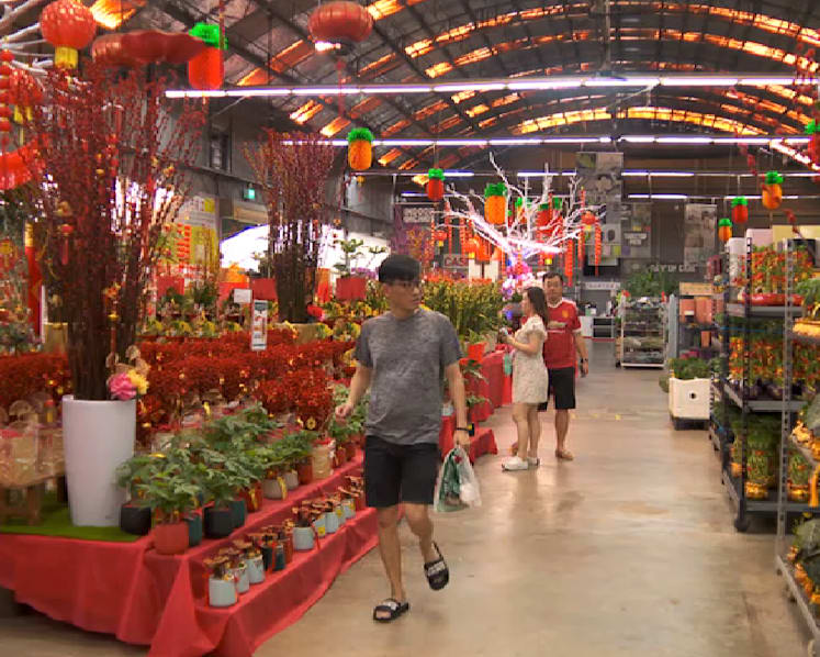 Why your Chinese New Year plants are likely to be more expensive this year