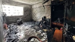 Related article image