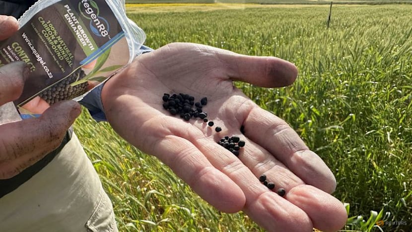 Big Tech-led demand for carbon removal credits fuels supply crunch