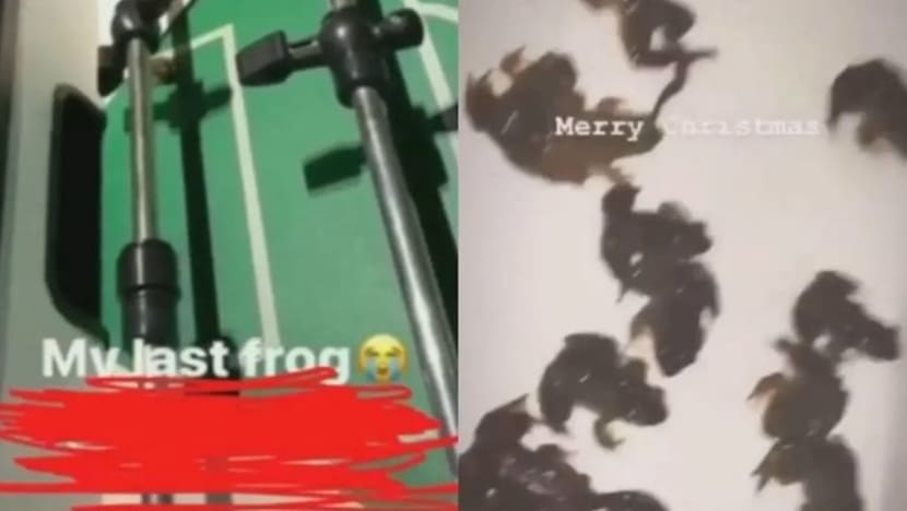 AVS siasat rakaman bola sepak meja gunakan katak hidup