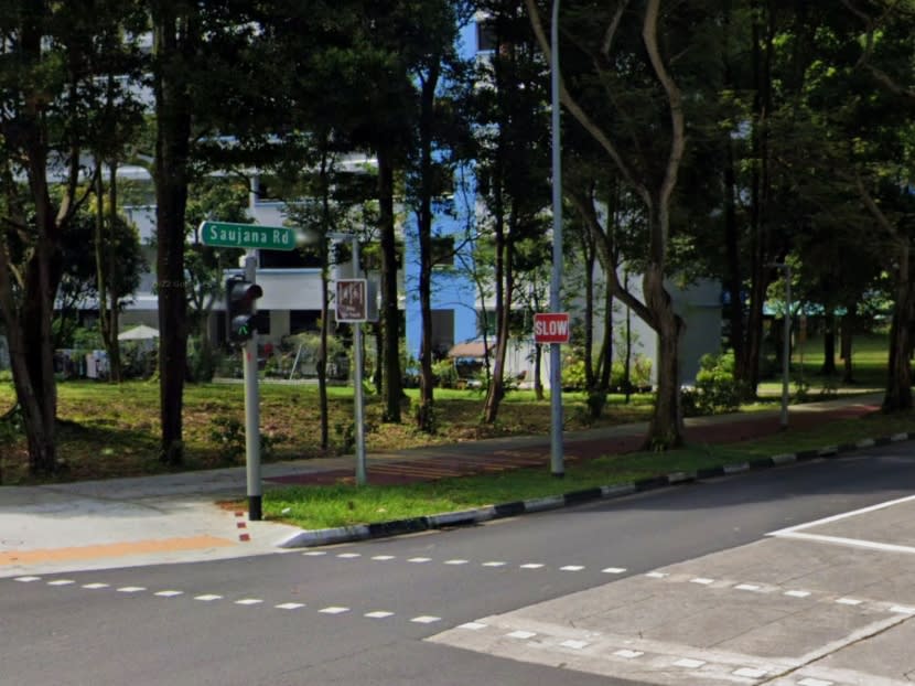 Pek was driving along Saujana Road, in a public housing estate in Bukit Panjang, at close to midnight on March 25 this year when he saw the girl walking towards the bus stop. Pek was driving along Saujana Road, in a public housing estate in Bukit Panjang, at close to midnight on March 25 this year when he saw the girl walking towards the bus stop.