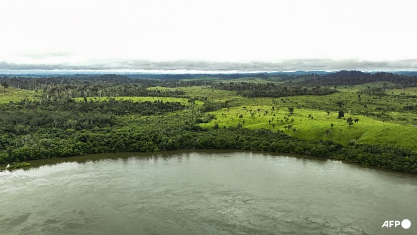 Brazil greenlights oil drilling in sensitive Amazon region Brazil greenlights oil drilling in sensitive Amazon region