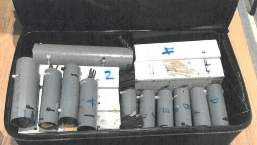 42 cases of animal smuggling at Singapore borders in 2024