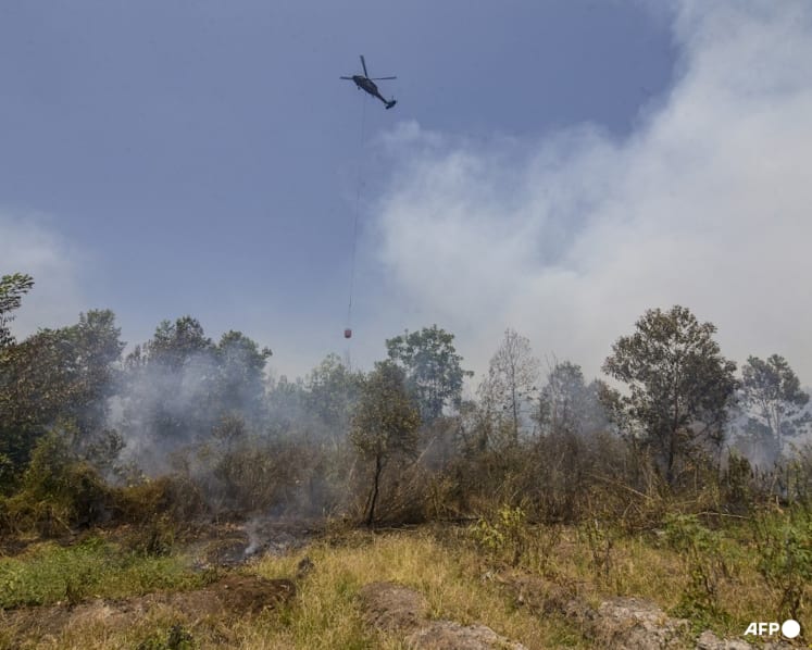 Indonesia doing 'everything' but still struggling to curb fires
