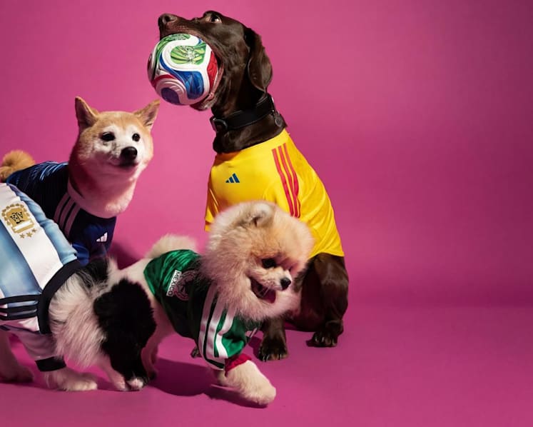 Adidas launches first pet collection in Singapore with mini football jerseys for furry fans