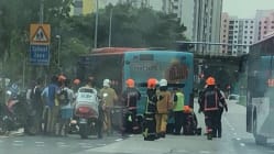 Related article image