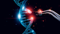 Related article image